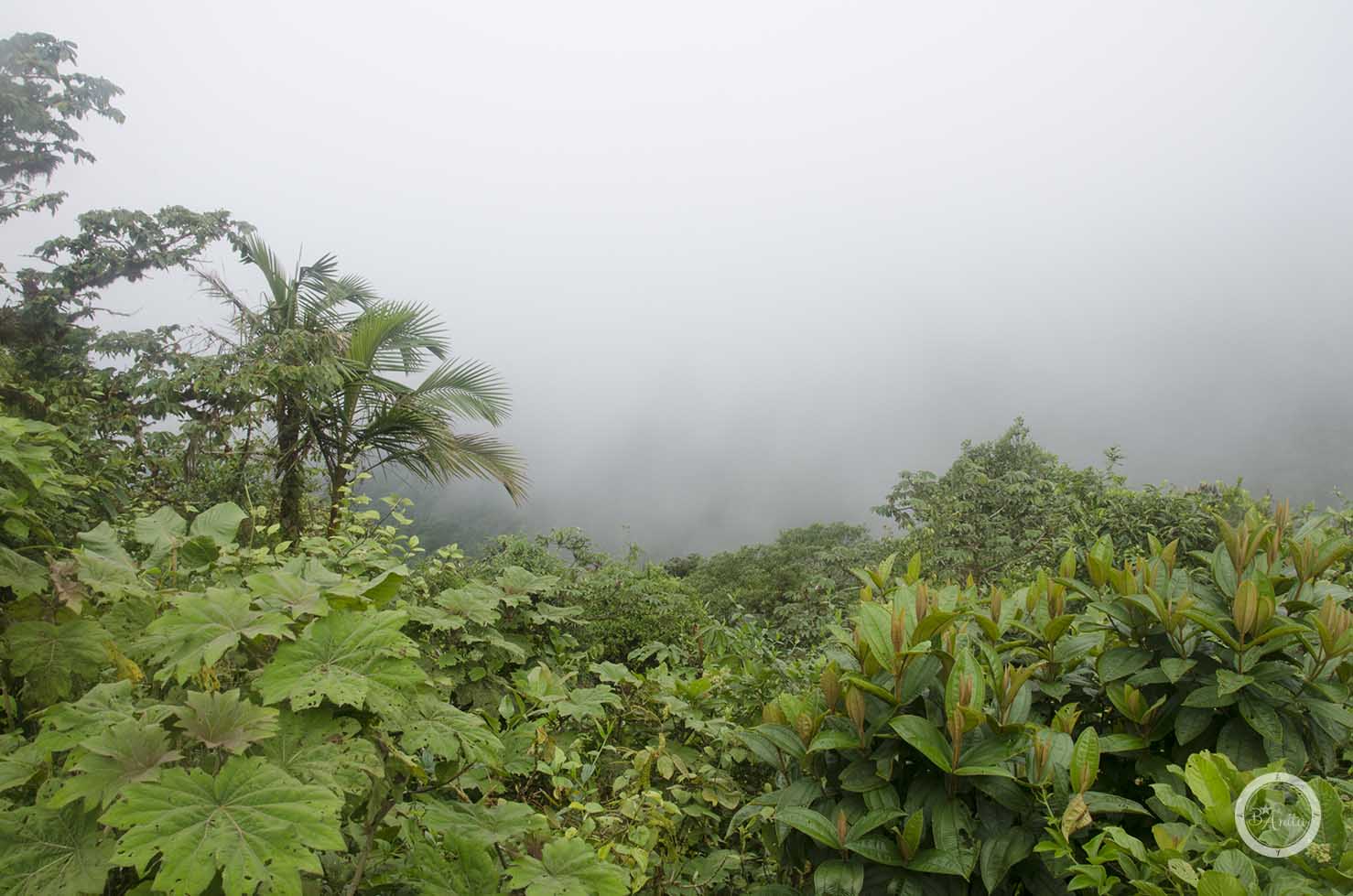 Monteverde Kostaryka punkt widokowy