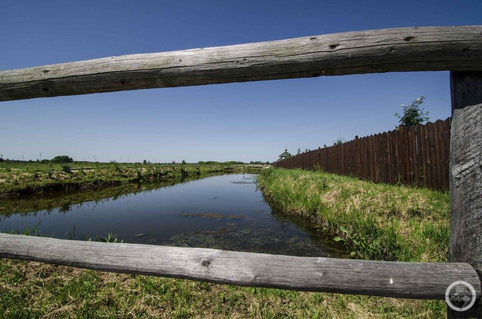 Widok z kladki zycia