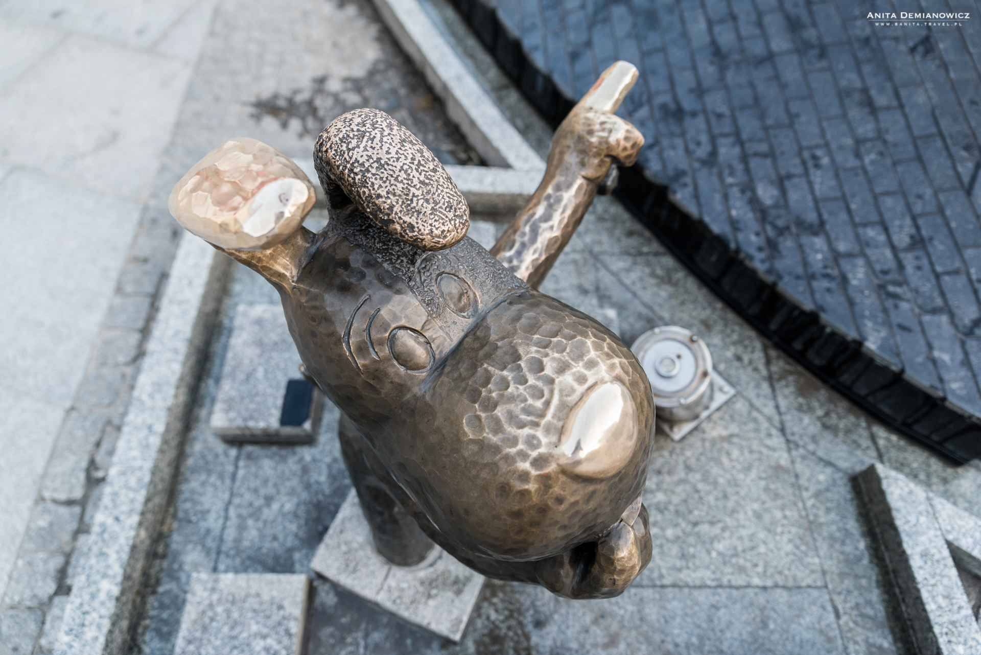 Reksio,-Bielsko-Biała