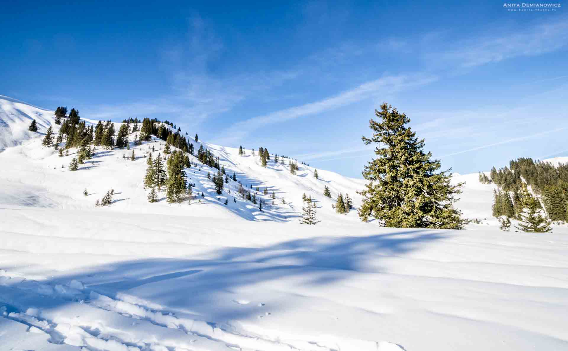 Ferie zimowe. Szwajcaria zimą